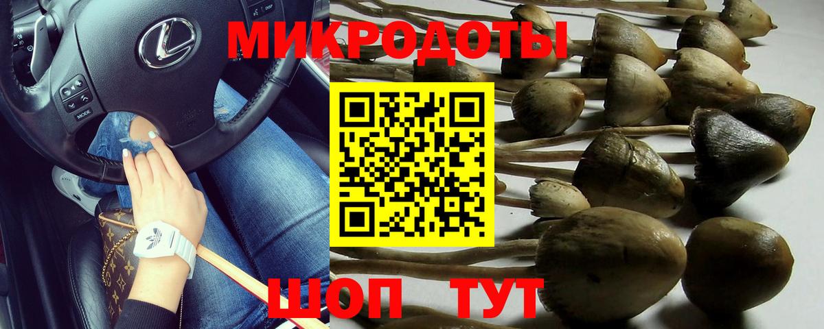 Менделеевск  Псилоцибиновые грибы MAGIC MUSHROOMS  Вход с VPN 