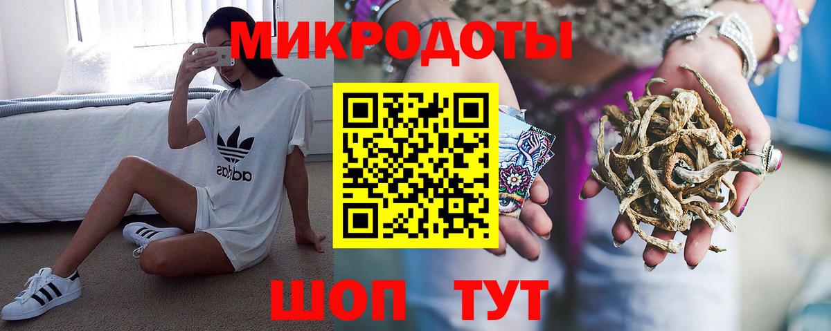 Псилоцибиновые грибы Cubensis Менделеевск